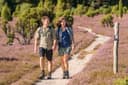 5030-Wanderer-Heidebluete-Druck©Lueneburger Heide GmbH