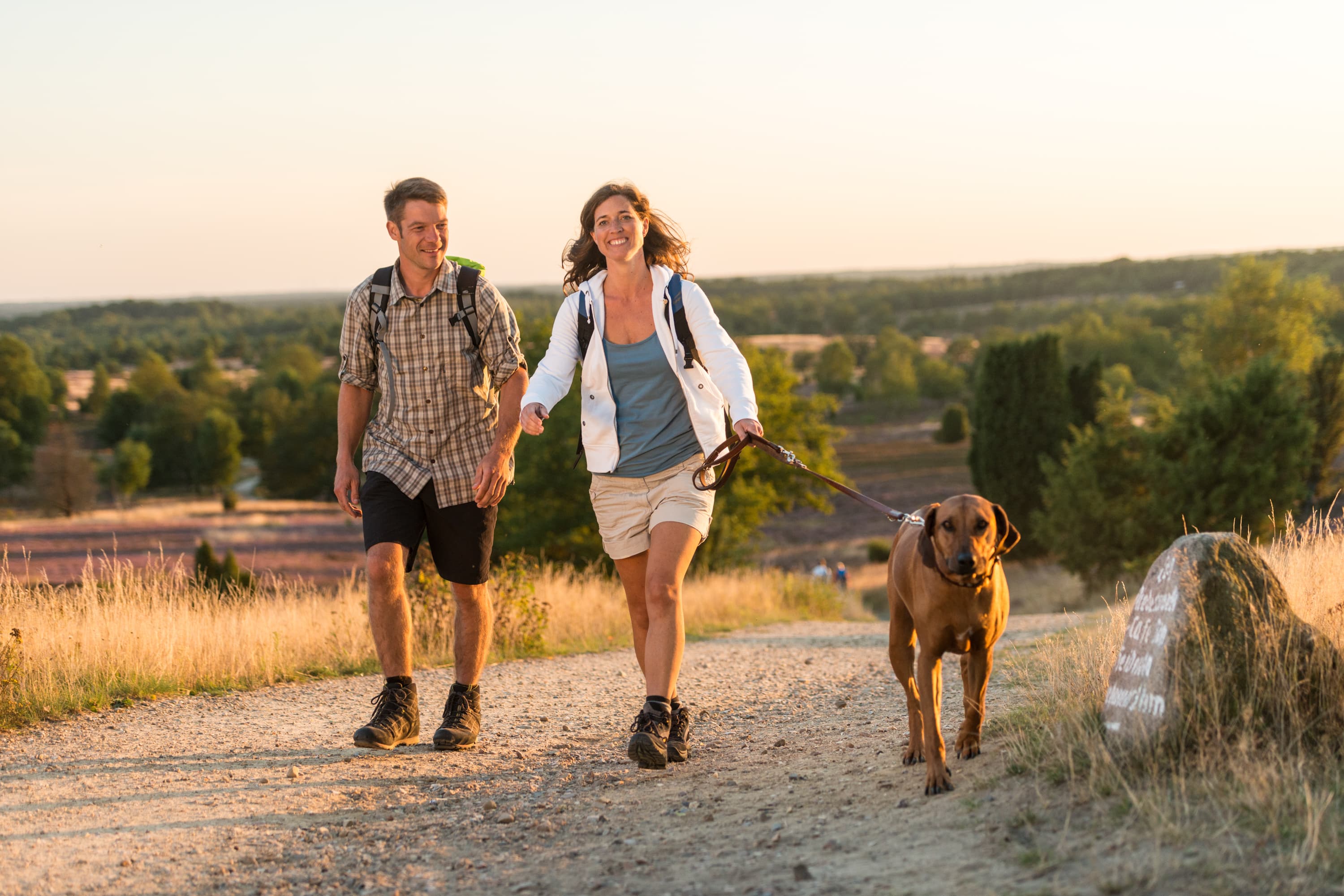 5031-wandern-mit-Hund-Druck©Lueneburger Heide GmbH