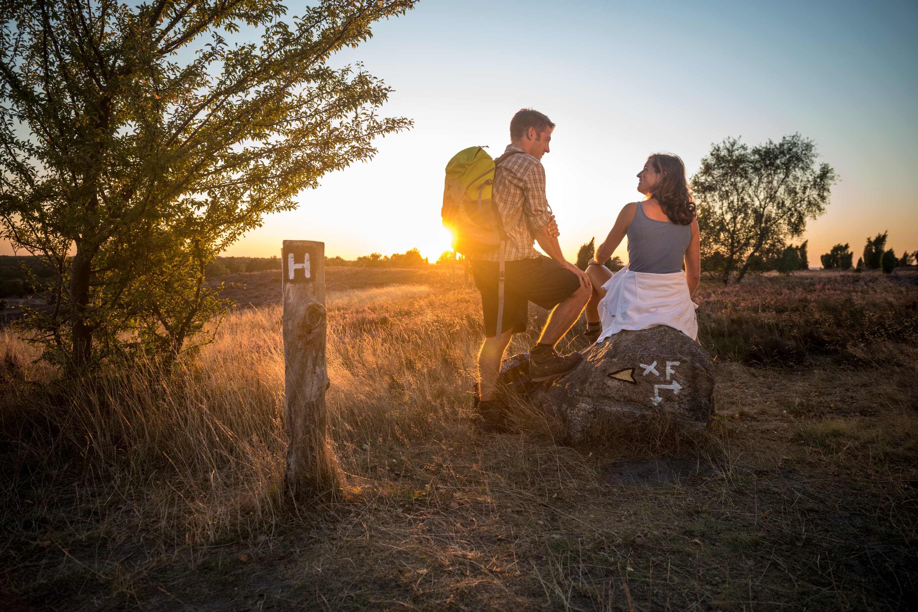 5032-Sonnenuntergang-Heidschnuckenweg-Druck©Lueneburger Heide GmbH