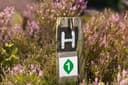 5033-Wegweiser-Heidschnuckenweg-Fernwanderweg-Druck©Lueneburger Heide GmbH