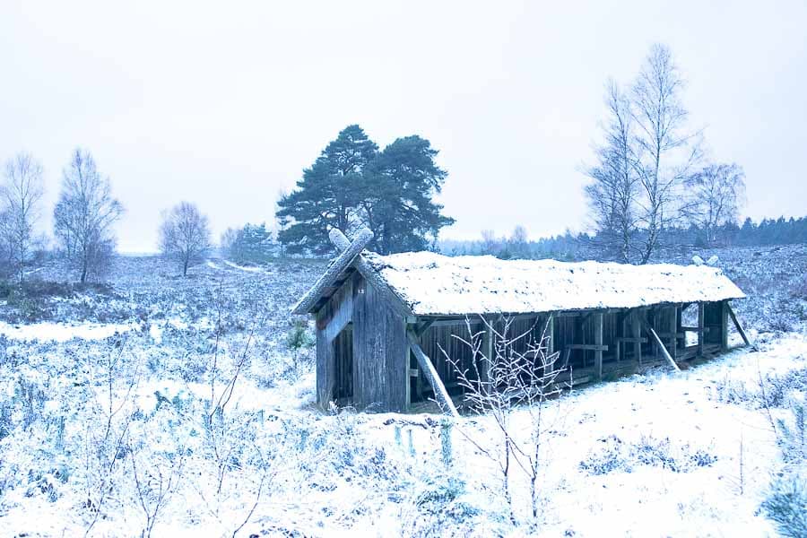 Heute vormittags hat es geschneit in der Lüneburger Heide