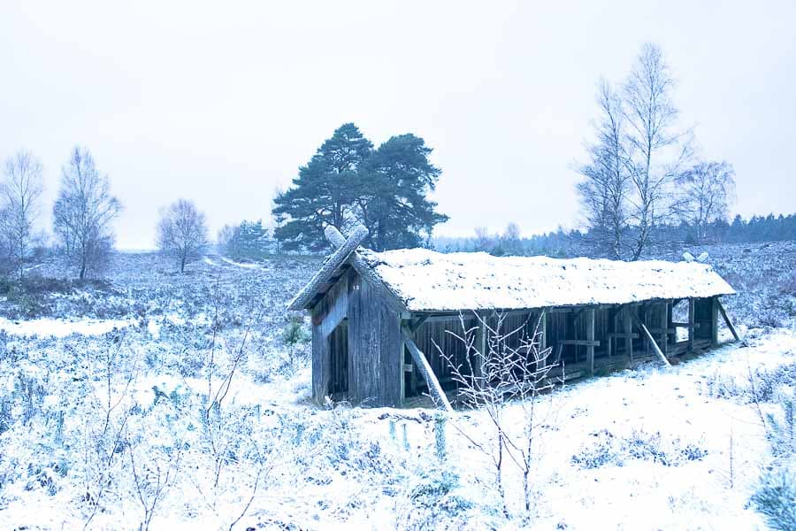 Schnee in der Lüneburger Heide