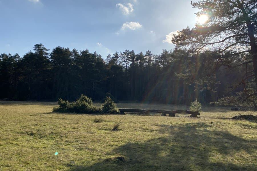 Herbstlandschaft in der Misselhorner Heide