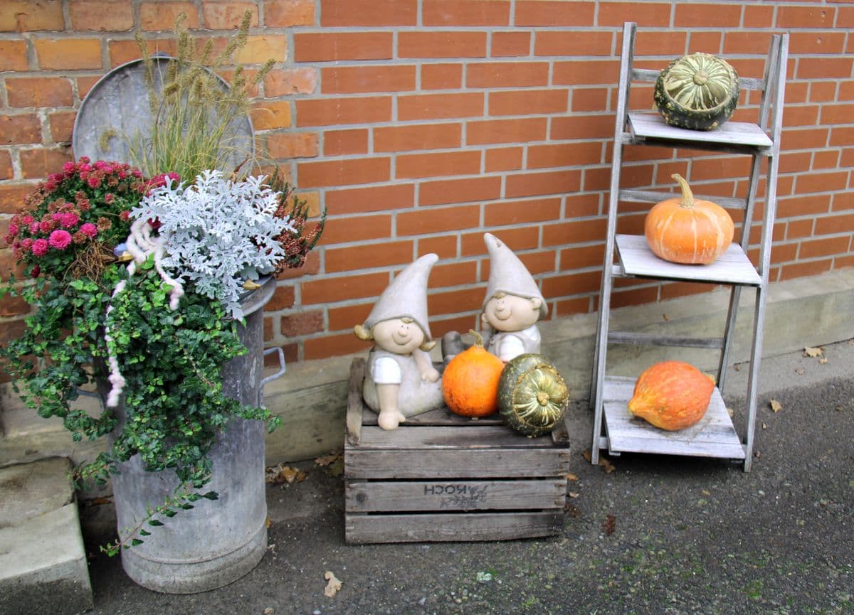 Hofladen Gralher - Kürbiszeit