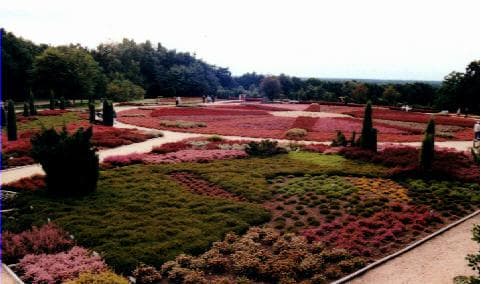 Café und Pension "Höpen-Idyll"