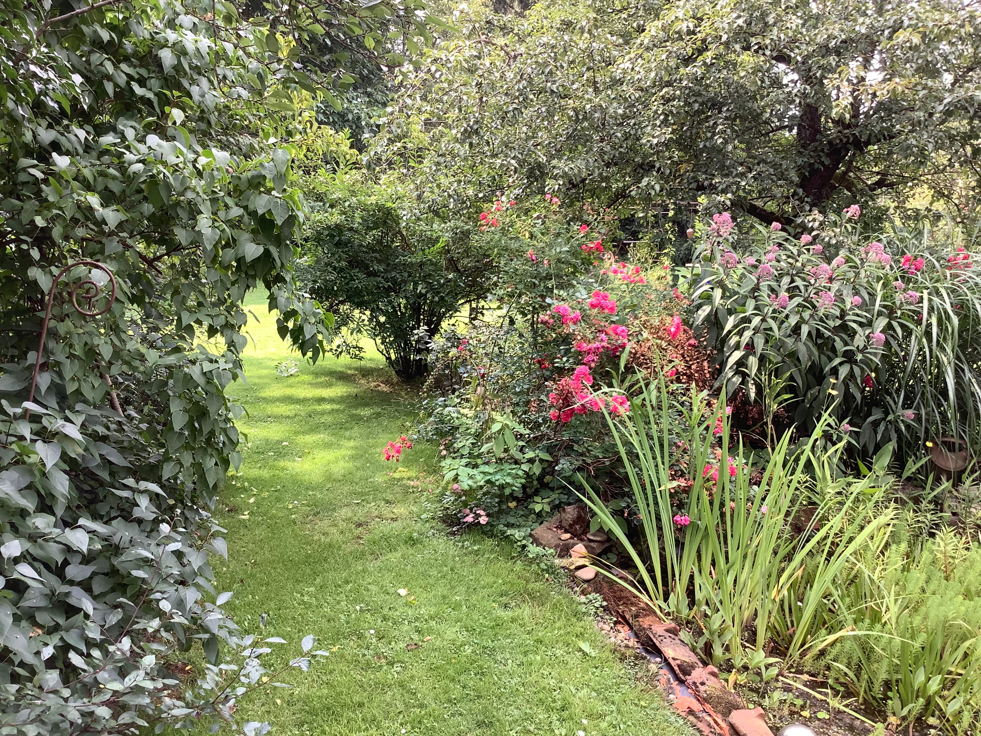 Garten der Ferienwohnung Bastian in Wietze