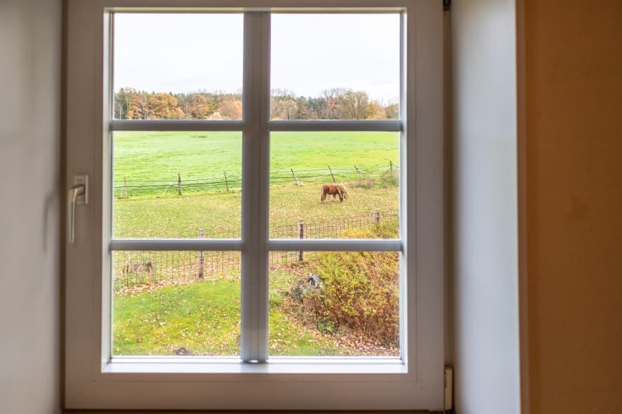 Ausblick aus der Küche Ferienwohnung OG Hof Marwedel