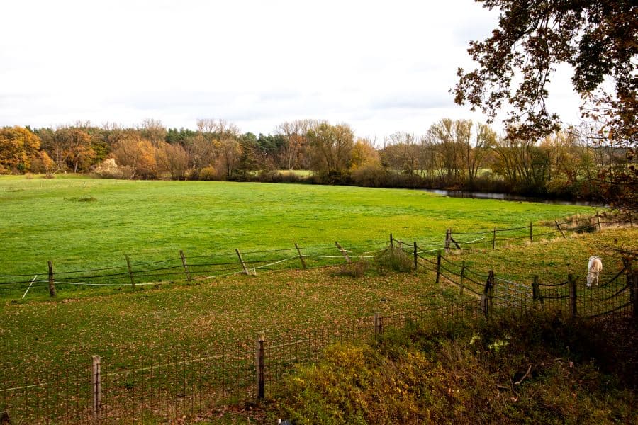 Ausblickaus der Ferienwohnung im Obergescoss vom Hof Marwedel
