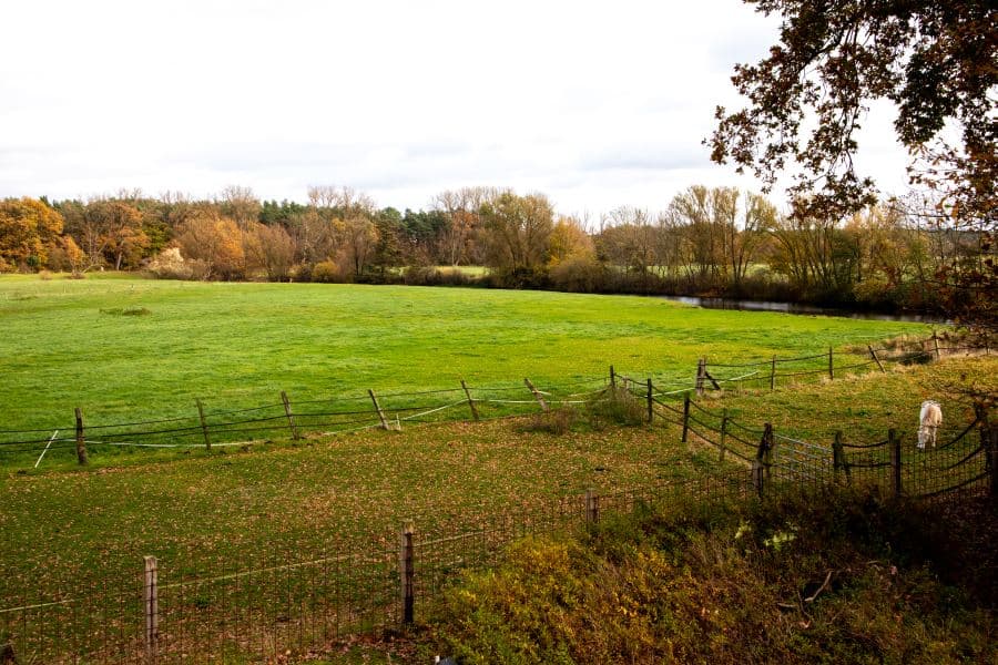 Ausblick Ferienwohnung OG Hof Marwedel