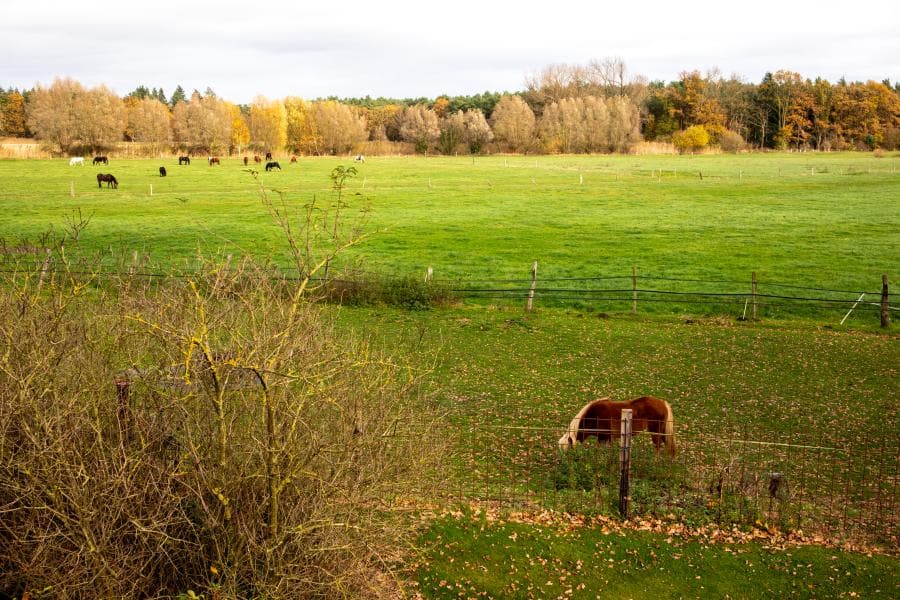 Ausblick Ferienwohnung OG Hof Marwedel