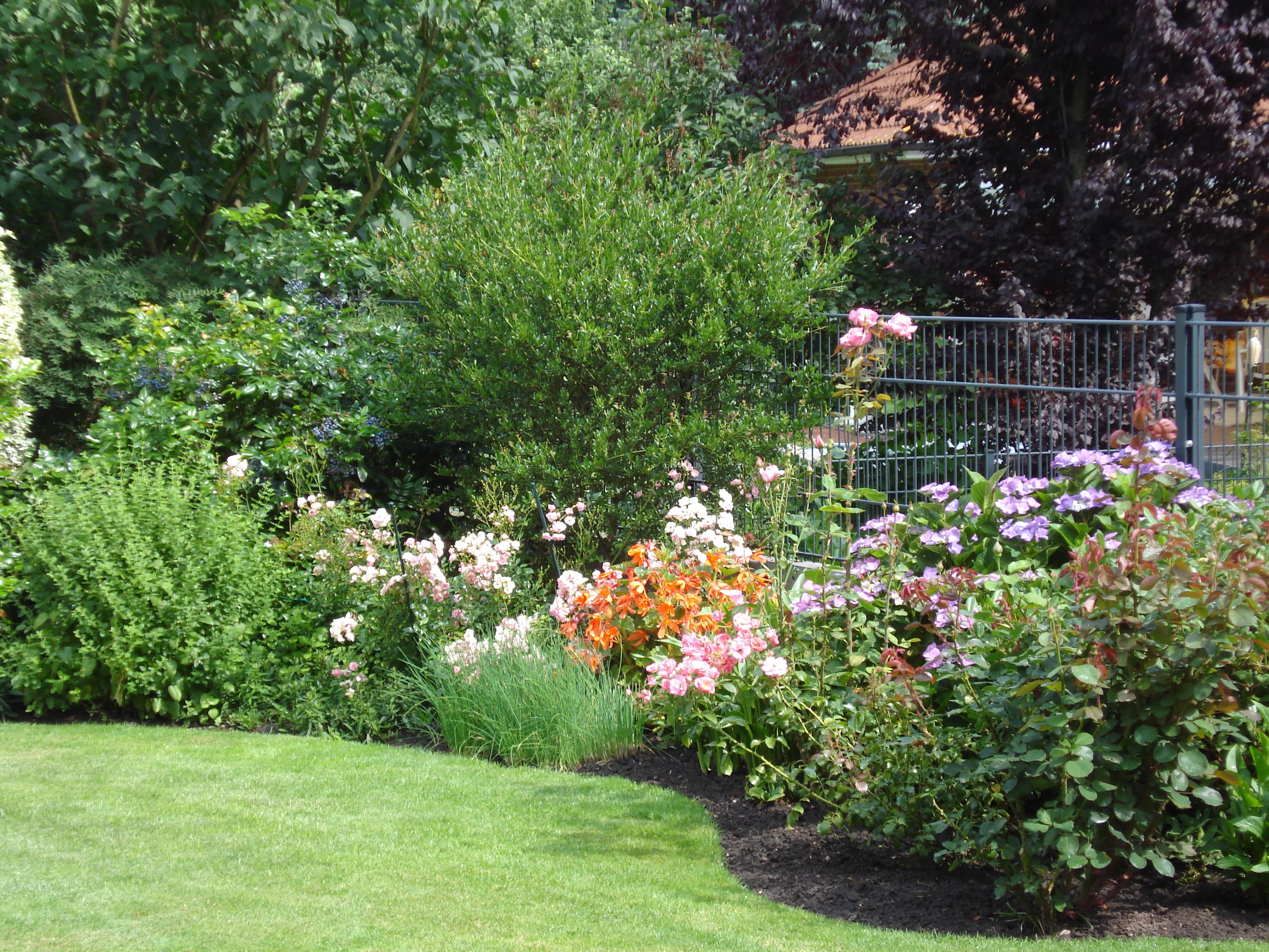 Hausgarten der Ferienwohnung Pape in Lüneburg