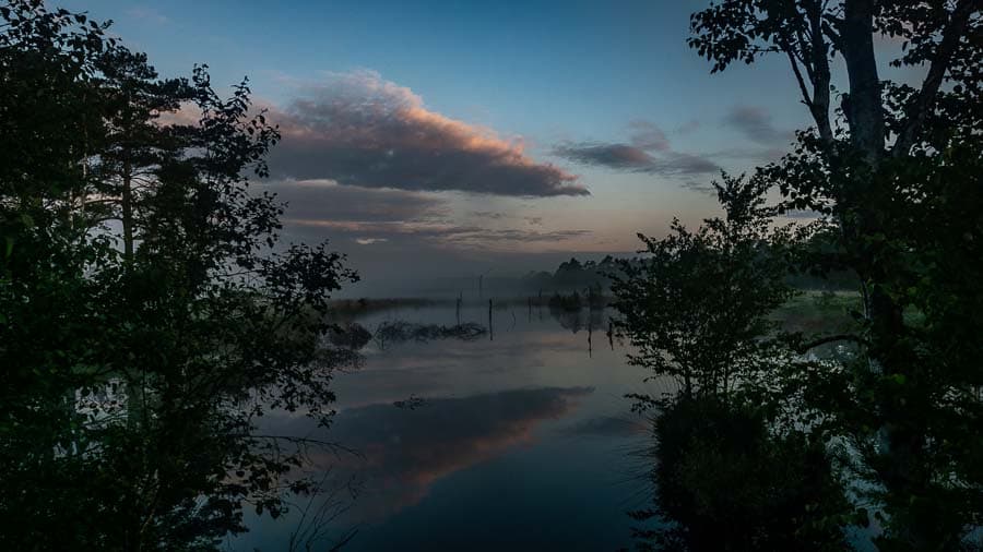 Nach Sonnenuntergang abends im Pietzmoor