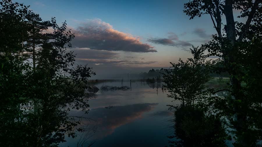 Zum Sonnenaufgang im Pietzmoor