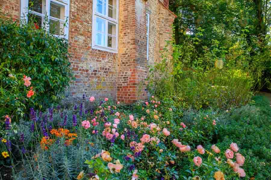 Rosen Garten im Kloster Ebstorf