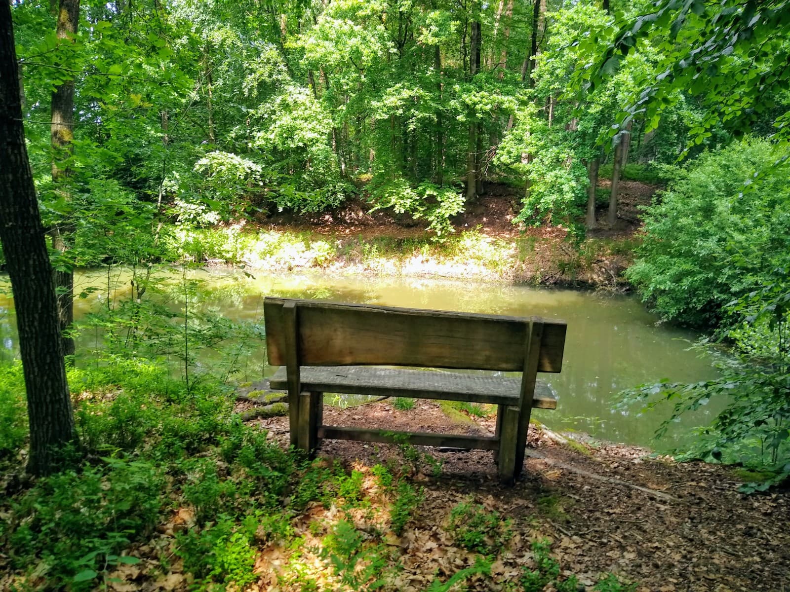 Bank am Teich in dem Park Allerhop in Bad Fallingbostel
