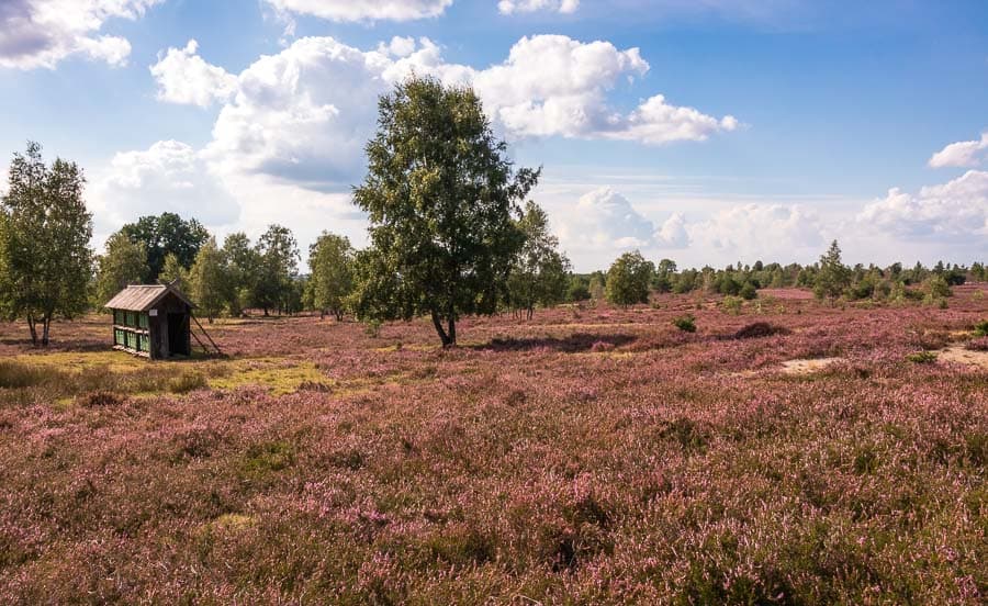 Röders Heide