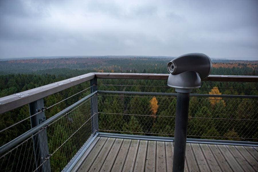 Tolle Aussicht von oben vom Baumwipfelpfad