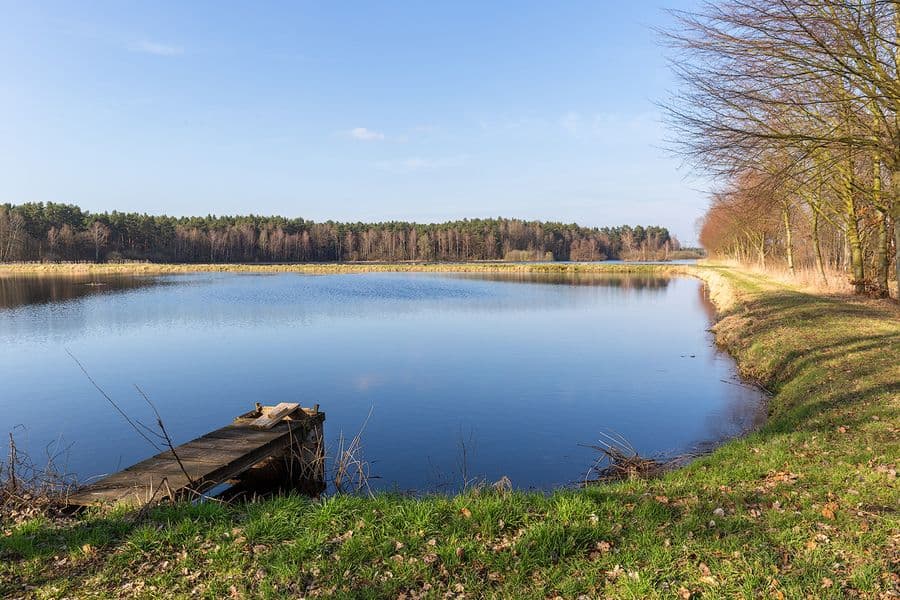 Aschauteiche bei Eschede Südheide