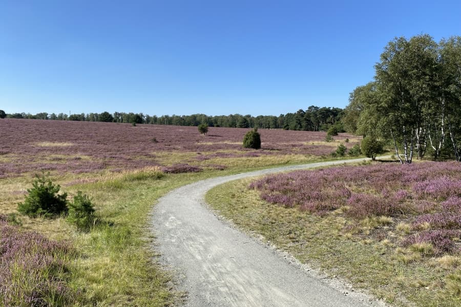 Radweg in der Oberoher Heide