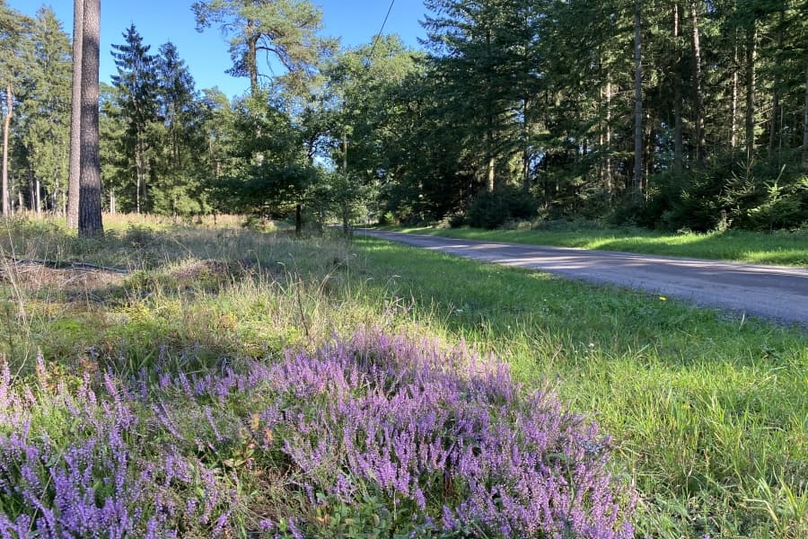 Siedenholz Radweg