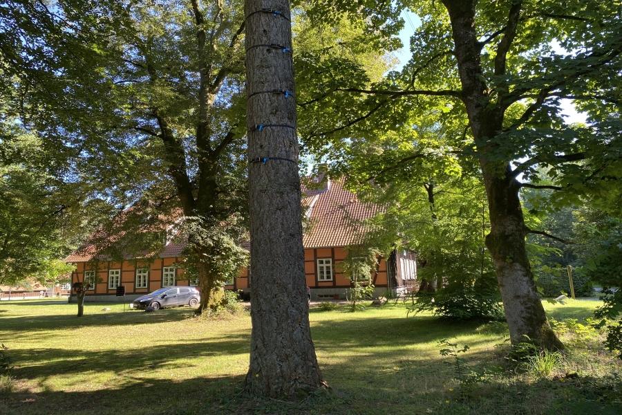 Waldpädagogikzentrum Siedenholz