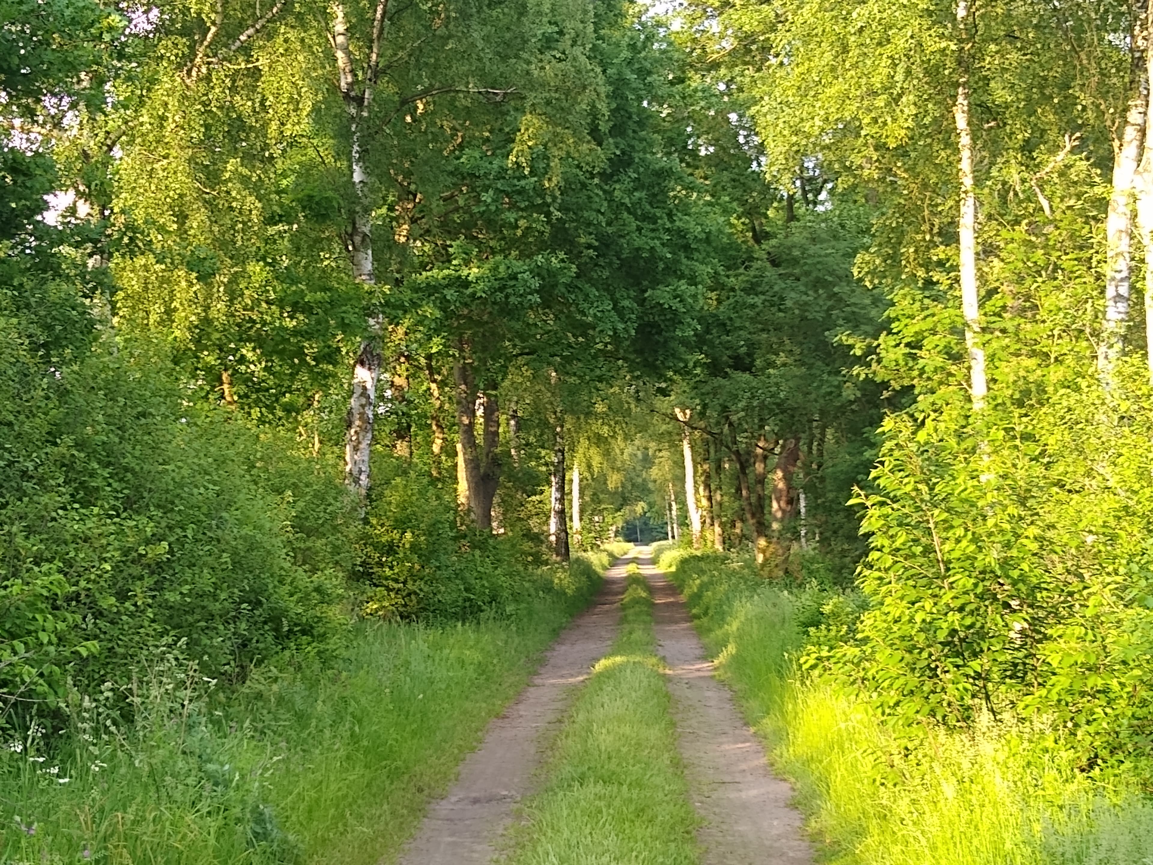 Heidmark-Route