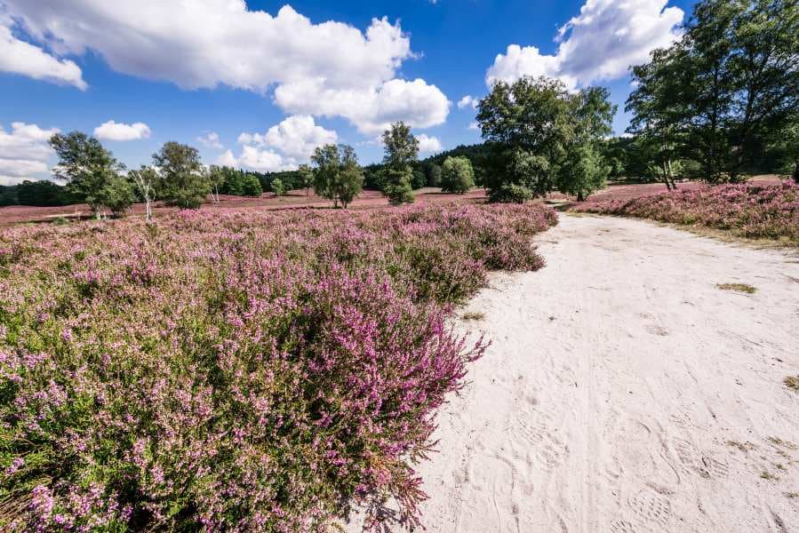 Unterwegs auf Sandpfaden 