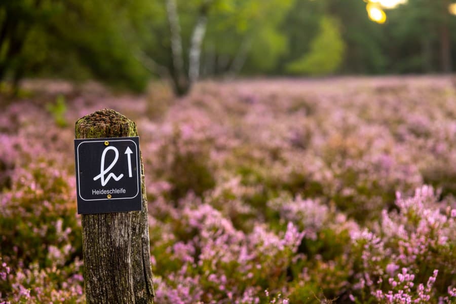 Wegweiser durch die Fischbeker Heide