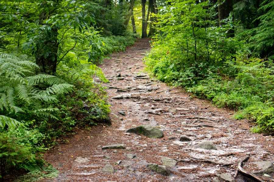 Heideschleife Schwarze Berge Rosengarten Rundwanderweg Nordheide