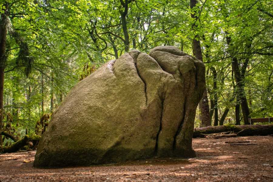 Karlstein Heideschleife Schwarze Berge Rundwanderweg Nordheide