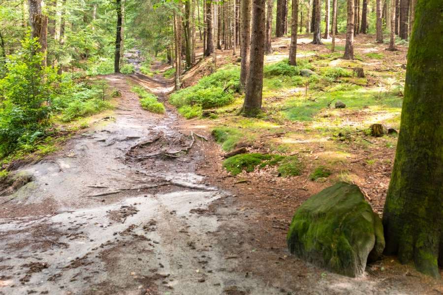 Auf der Heideschleife Schwarze Berge 