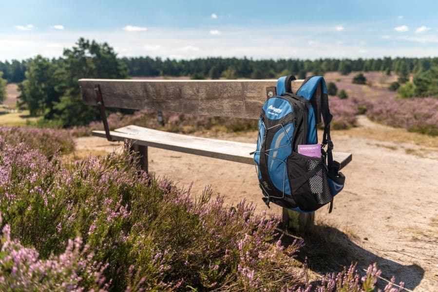 Pause auf einer Bank auf der Heideschleife Büsenbachtal in der Heide