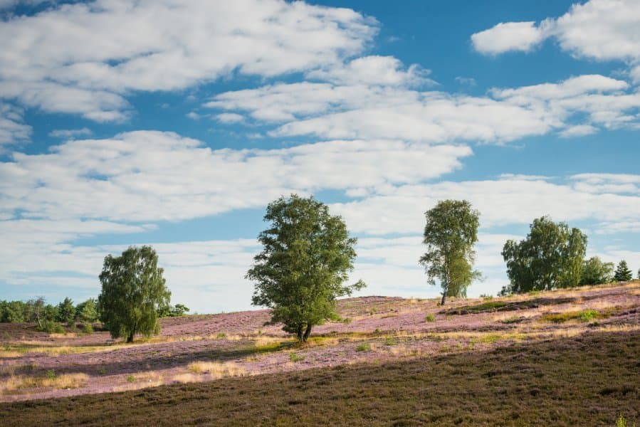 beim wandern hat man den blick auf den brunsberg