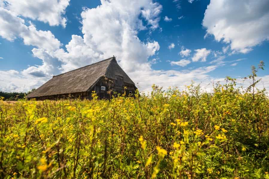 Schafstall Weseler Heide Heideschleife Rundwanderweg