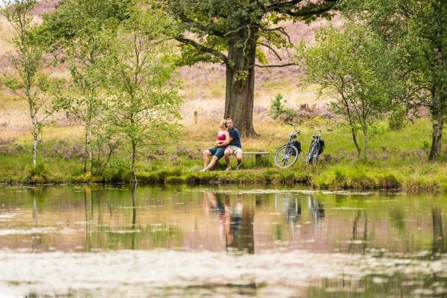 Pastorenteiche in der Weseler Heide Undeloh Heideschleife Rundwanderweg