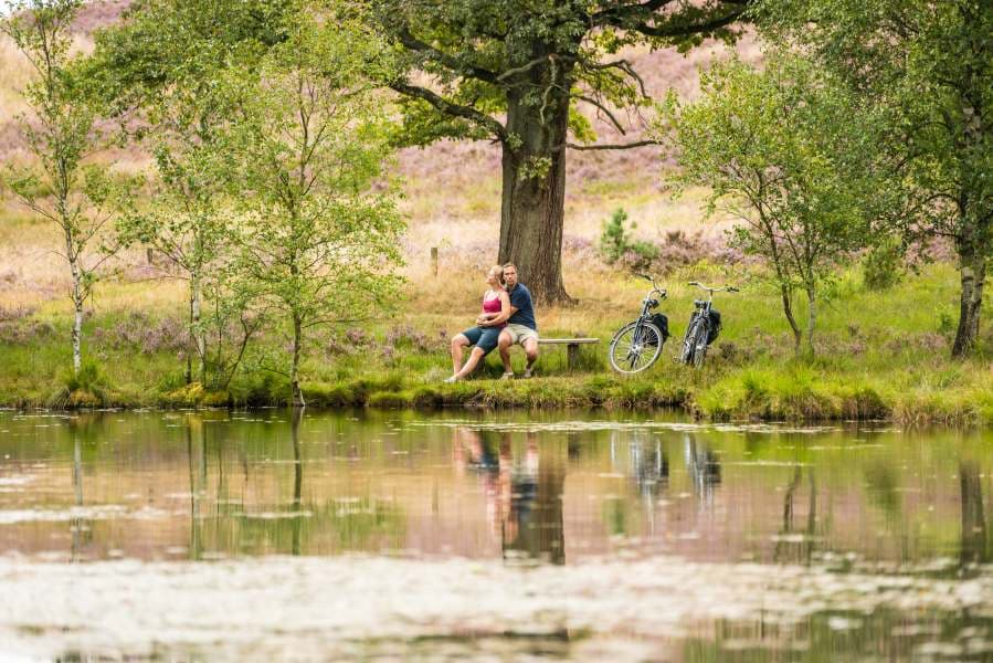 Pastorenteiche in der Weseler Heide