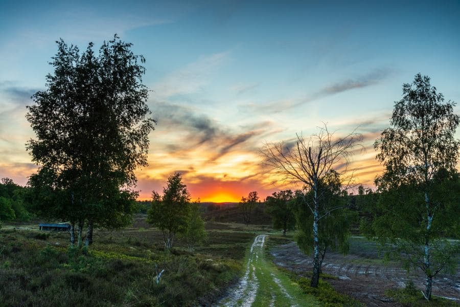 Abendstimmung auf der Töps Heideschleife Heidefläche Rundwanderweg Sonnenuntergang