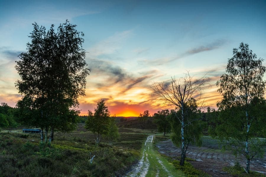 Abendstimmung auf der Töps Heideschleife