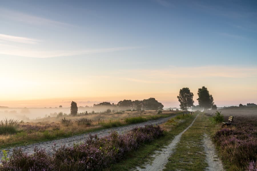Wandern durchs Radenbachtal im Morgennebel Heideschleife Rundwanderweg