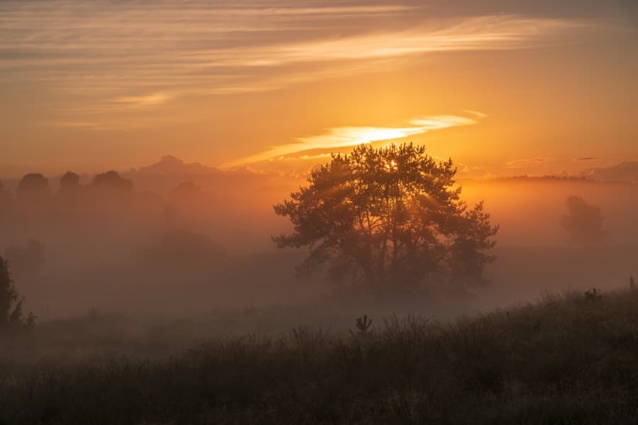 Sonnenaufgang Undeloh auf dem Wanderweg Heideschleife Radenbachtal