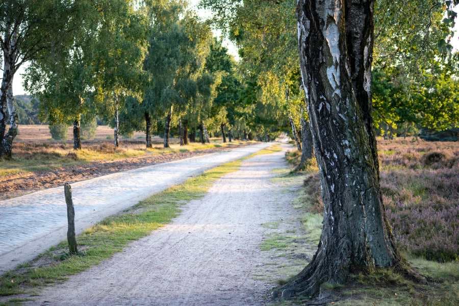 Undeloher Heide Heideschleife Radenbachtal Rundwanderweg