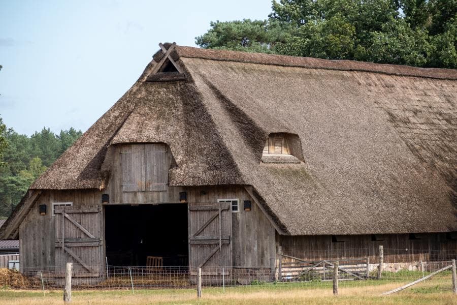 Döhler Heidefläche Schafstall Heideschleife Radenbachtal Rundwanderweg