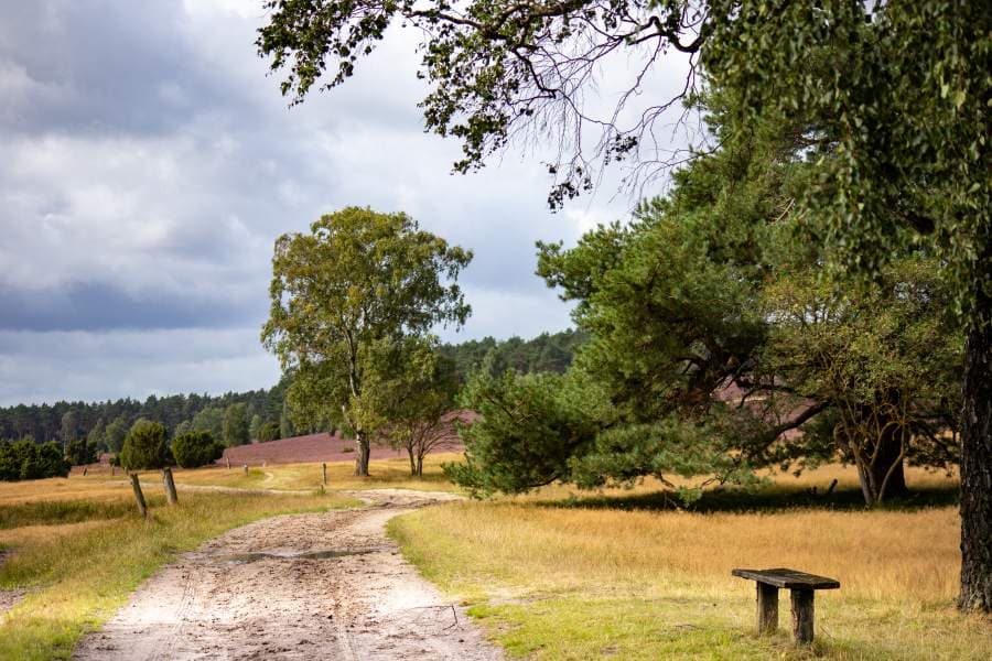 Heideschleife Radenbachtal Wanderweg