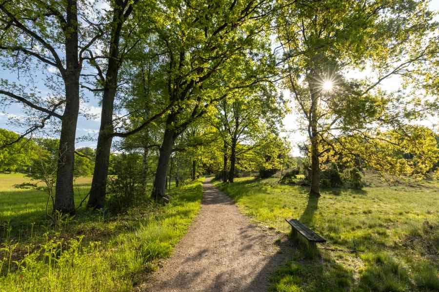 Barrierefreie Heideschleife Haverbeeke Rundwanderweg