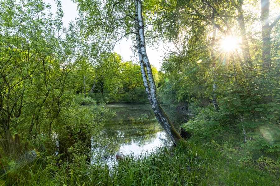 Tal der Haverbeeke Heideschleife barrierefreier Rundwanderweg