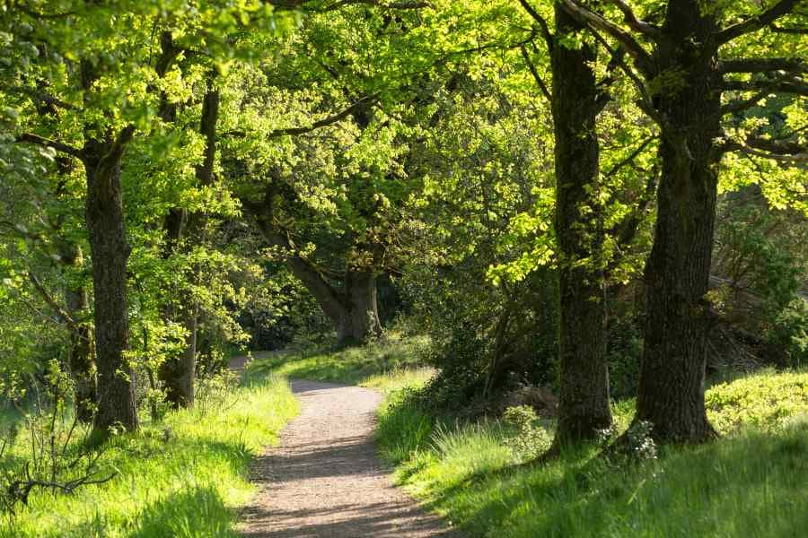 Flache Sandwege im  Tal der Haverbeeke