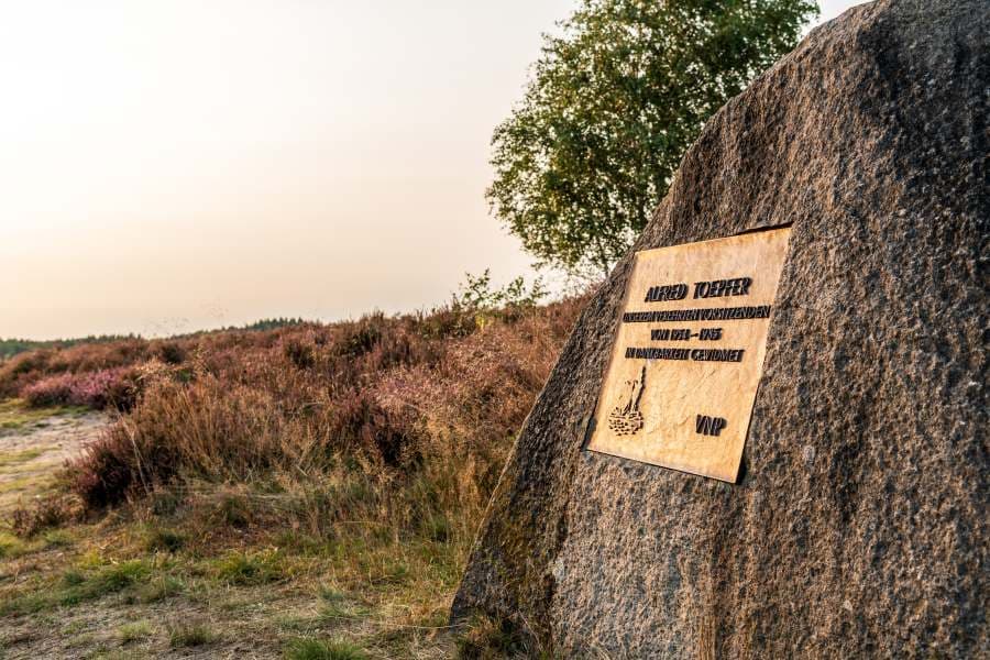 Wanderung auf der Heideschleife Tütsberg mit Alfred Toepfer Blick Stein Rundwanderweg