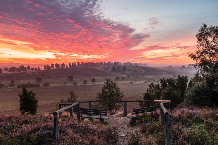 Blick vom Wümmeberg in die Heide an der Heideschleife Tütsberg Rundwanderweg