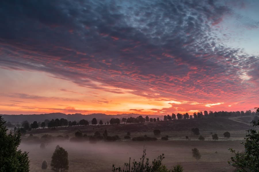 Wandern zum sonnenaufgang am wümmeberg auf der Heideschleife