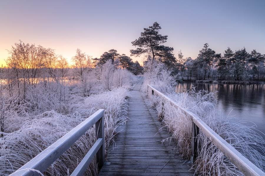 Das Pitzmoor im Winter